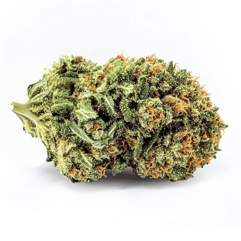 CRITICAL Fleurs CBD Greenhouse