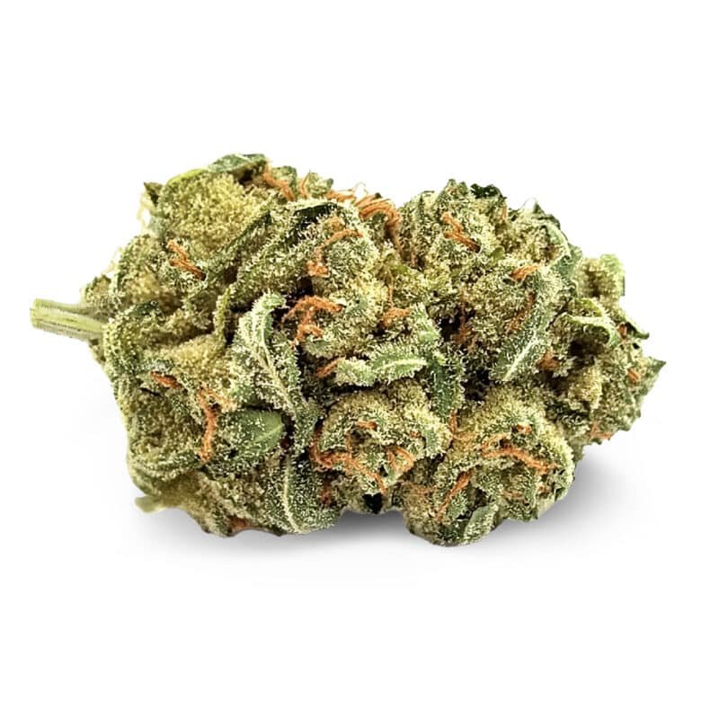 GOLIATH Fleurs CBD Greenhouse