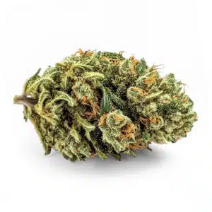 LEMONCELLO Fleurs CBD Greenhouse