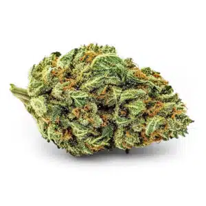 MANGO HAZE Fleurs CBD Greenhouse