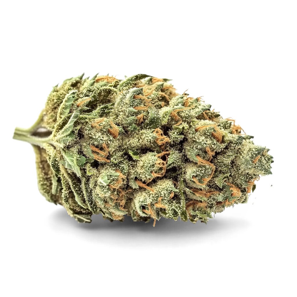 AMNESIA HAZE Fleurs CBD Indoor