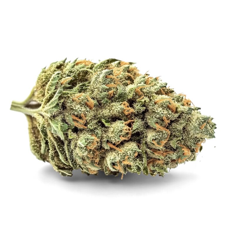 AMNESIA HAZE Fleurs CBD Indoor