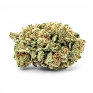 JACK HERER Fleurs CBD Indoor