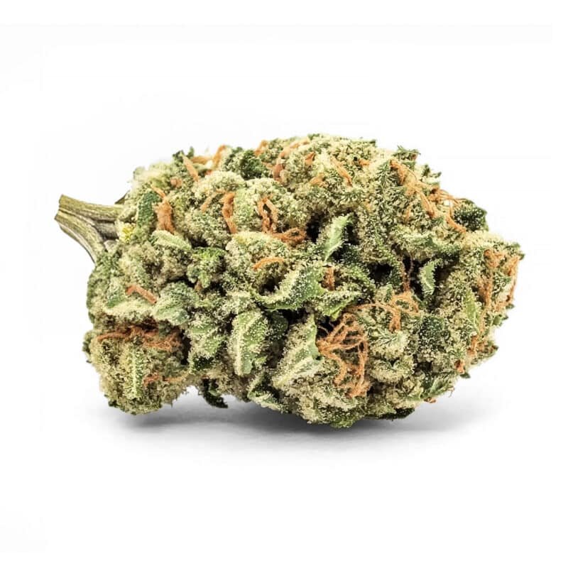 JACK HERER Fleurs CBD Indoor