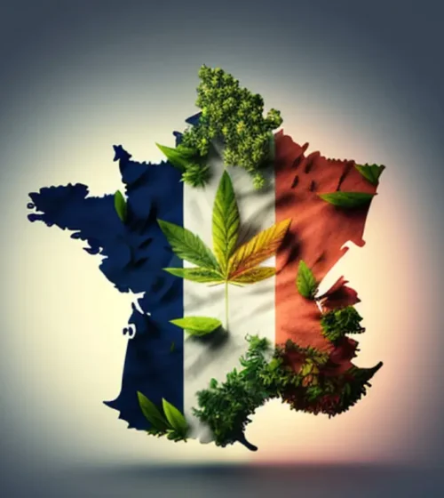 La carte de France avec des feuilles de cannabis