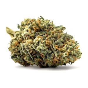 Grosse Fleur CBD Alien Kush Greenhouse, pistils jaunes, trichomes brillants sur fond blanc
