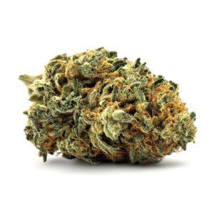 Grosse Fleur CBD Blueberry Greenhouse, pistils jaunes, trichomes brillants sur fond blanc