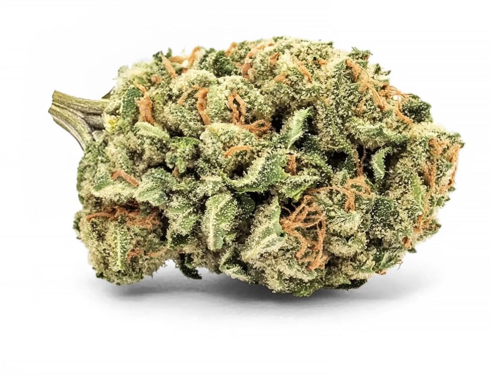 JACK HERER Fleurs CBD Indoor