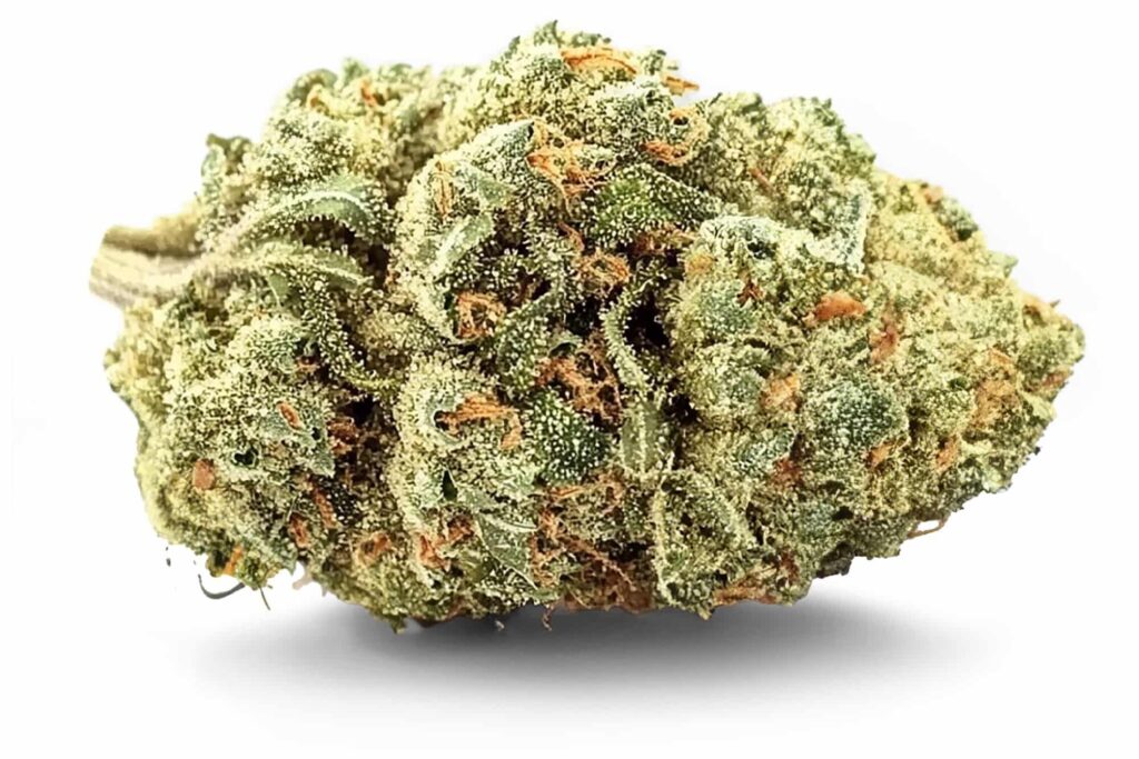 WHITE WIDOW Fleurs CBD Indoor