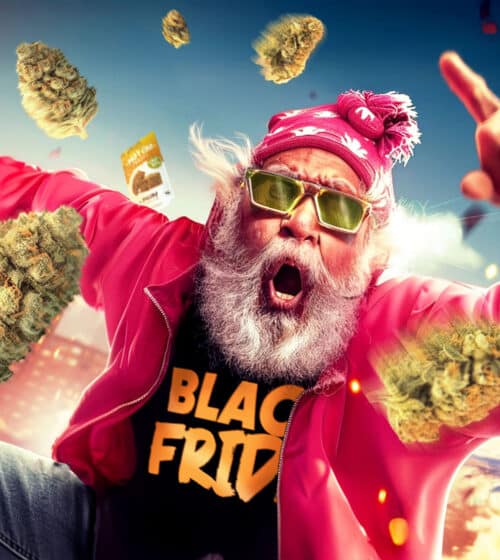Un papy déchaîné en pleine explosion de Black Friday, habillé en rose avec des lunettes funky, entouré de grosses têtes de fleurs CBD qui volent dans tous les sens, ambiance festive, énergique et complètement folle à l’image de la promo sur Papy.CBD.com