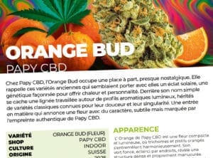 Test de la ORANGE BUD de PAPY CBD par CBDACTU