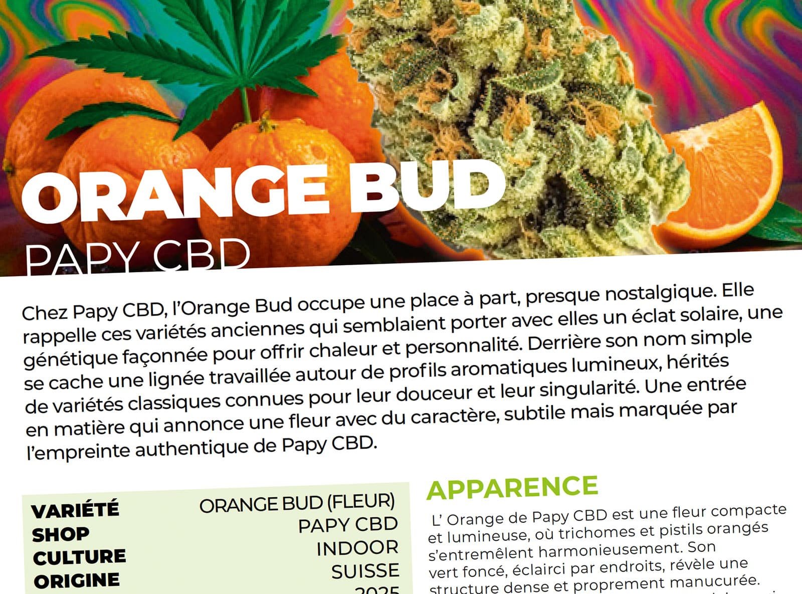 Test de la ORANGE BUD de PAPY CBD par CBDACTU