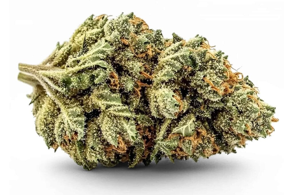 Fleurs NITRO Papy CBD