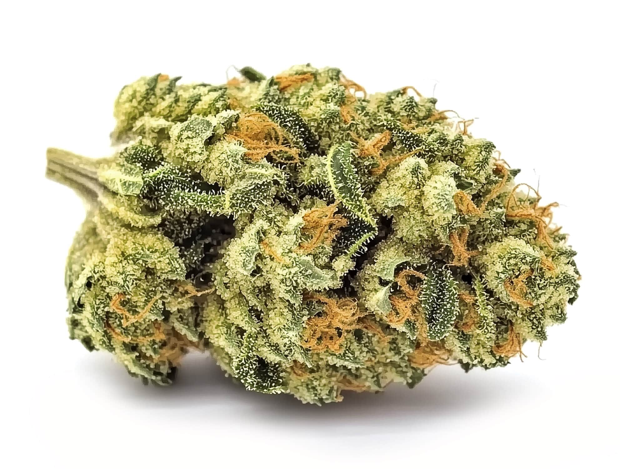 ORANGE BUDS Fleurs CBD Indoor