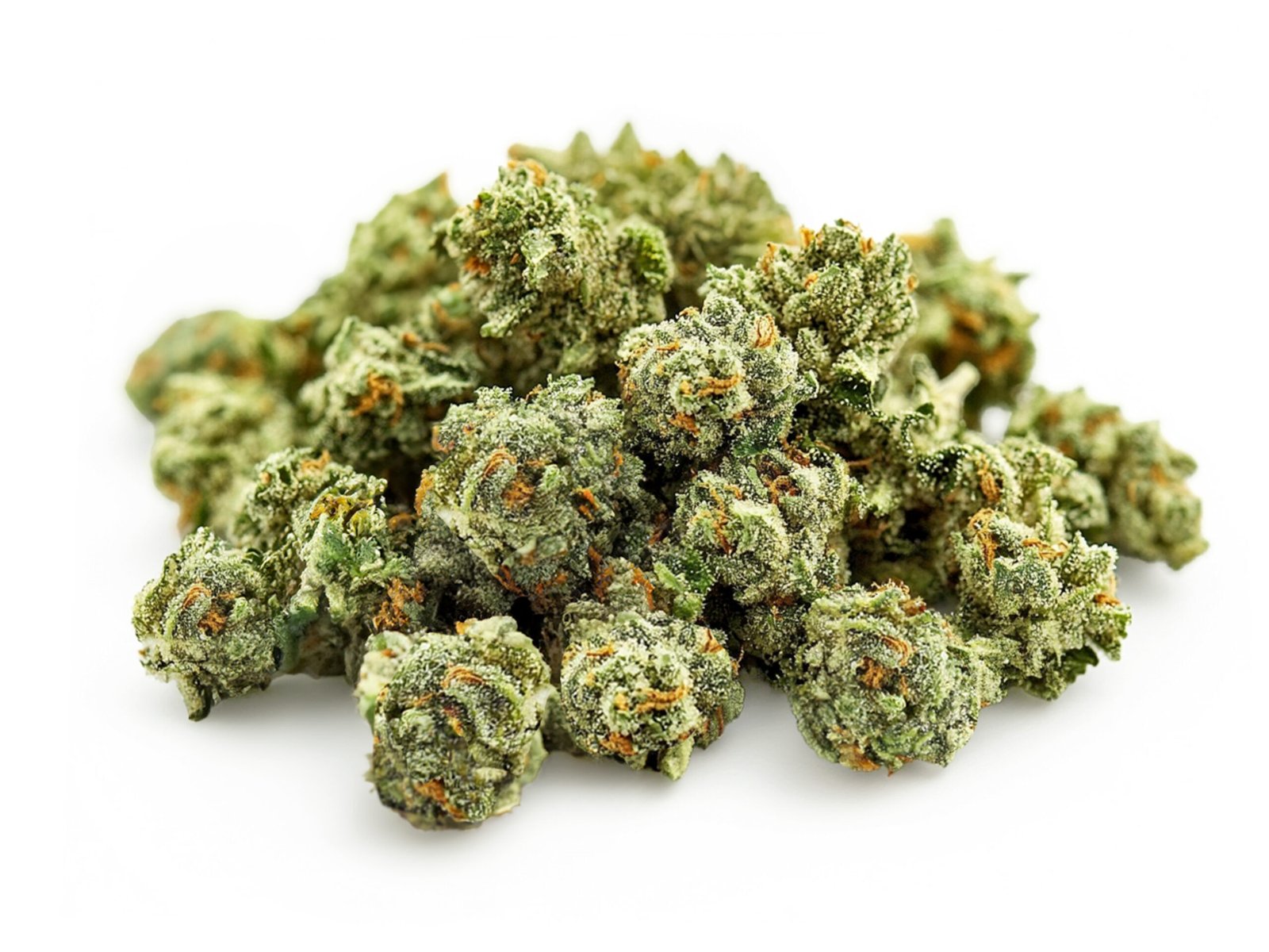 BUBBLE GELATO Small Buds CBD Indoor