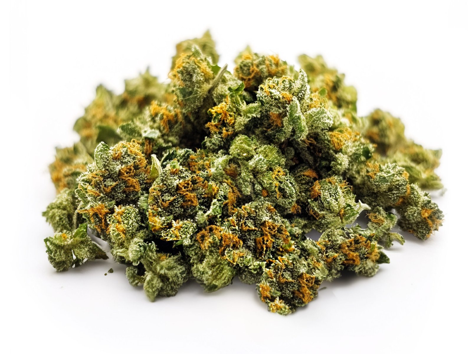 OG KUSH Small Buds CBD Greenhouse