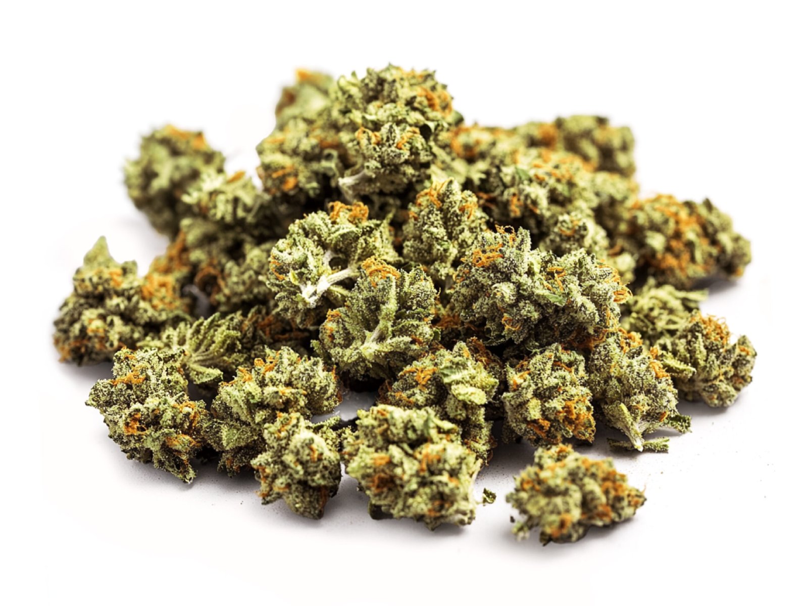 TROPICAL HAZE Small Buds CBD Greenhouse