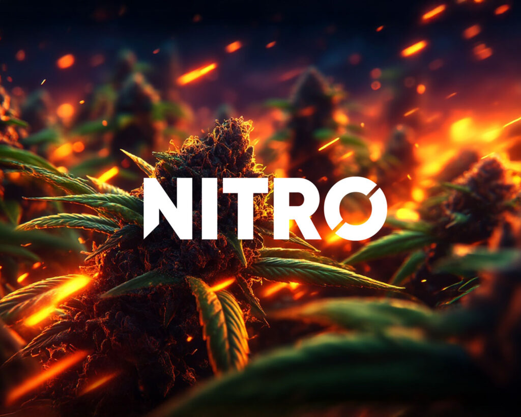 Ambiance explosive avec des fleurs CBD puissantes NITRO et un logo NITRO au milieu de l'image
