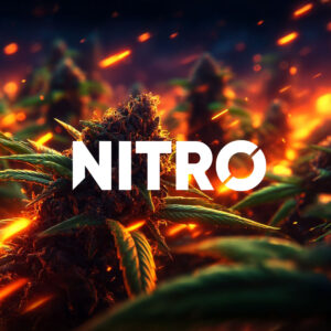 CBD Puissant NITRO