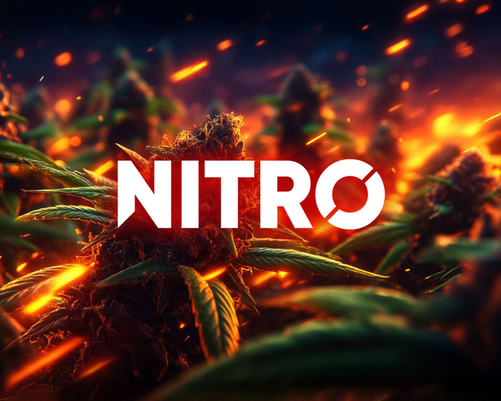 Ambiance explosive avec des fleurs CBD puissantes NITRO et un logo NITRO au milieu de l'image