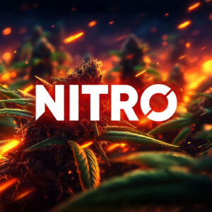 CBD Puissant NITRO