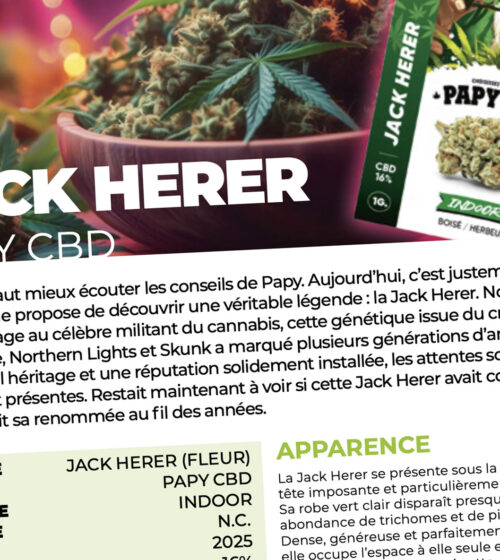 Test de la JACK HERER de PAPY CBD par CBDACTU