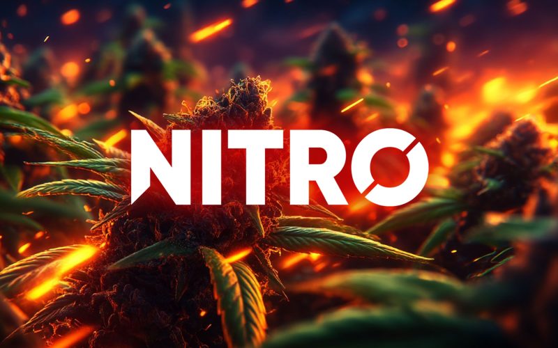 CBD Puissant NITRO