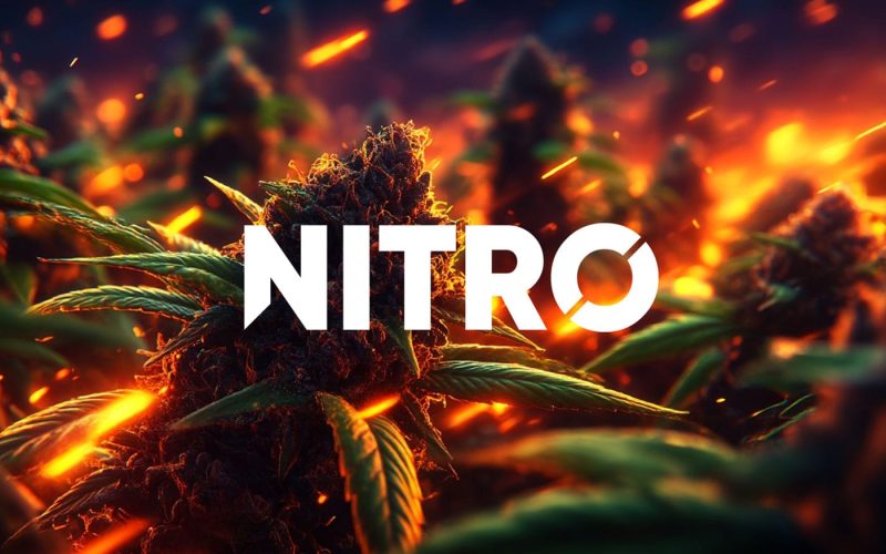 CBD Puissant NITRO