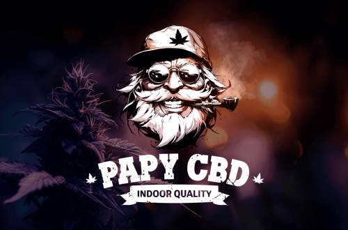 Logo PAPY CBD sur un fond coloré avec des fleurs de cannabis